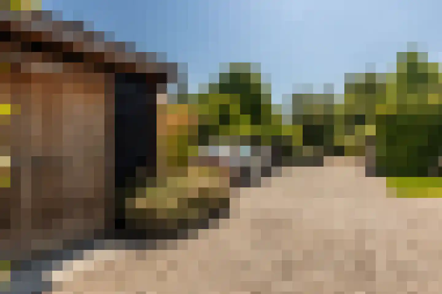 Egelantierlaan 4 Oostvoorne thumbnail 48