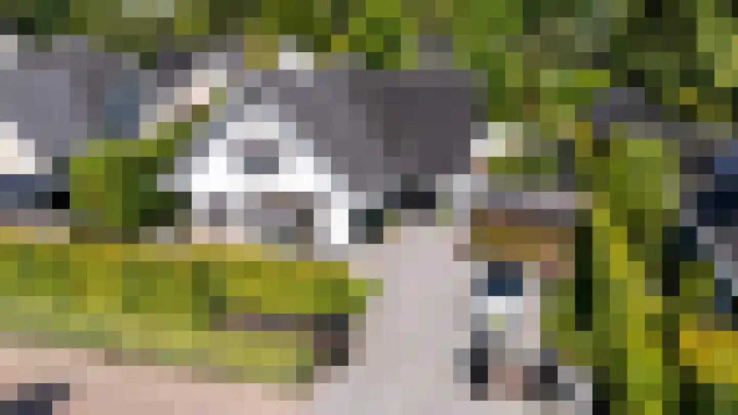 Egelantierlaan 4 Oostvoorne thumbnail 5