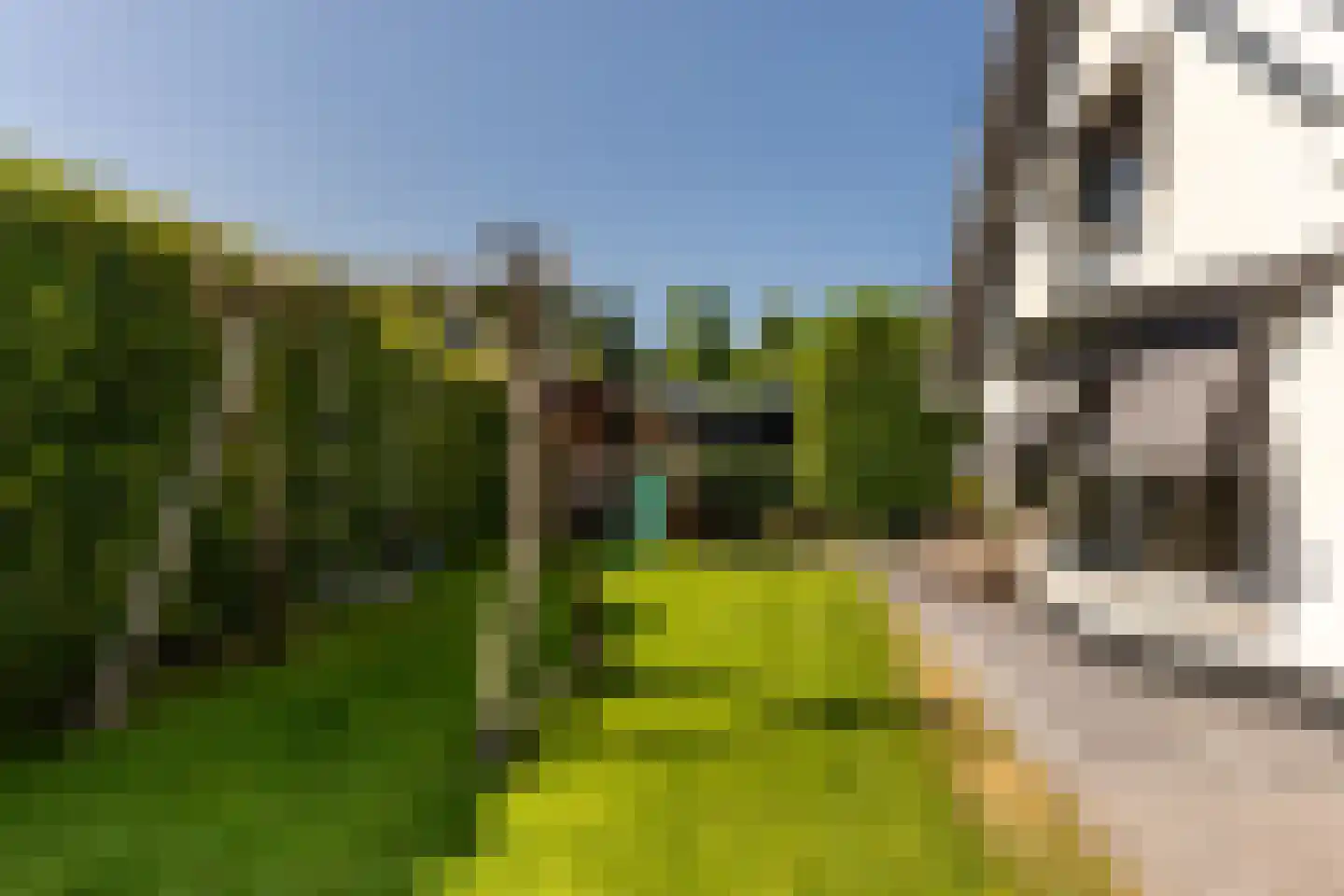 Egelantierlaan 4 Oostvoorne thumbnail 50