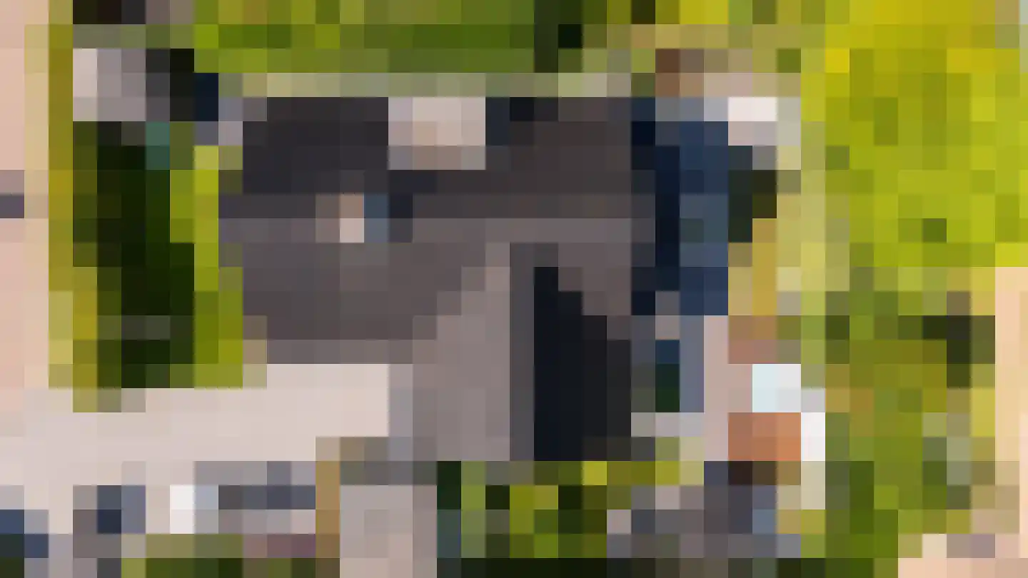 Egelantierlaan 4 Oostvoorne thumbnail 54