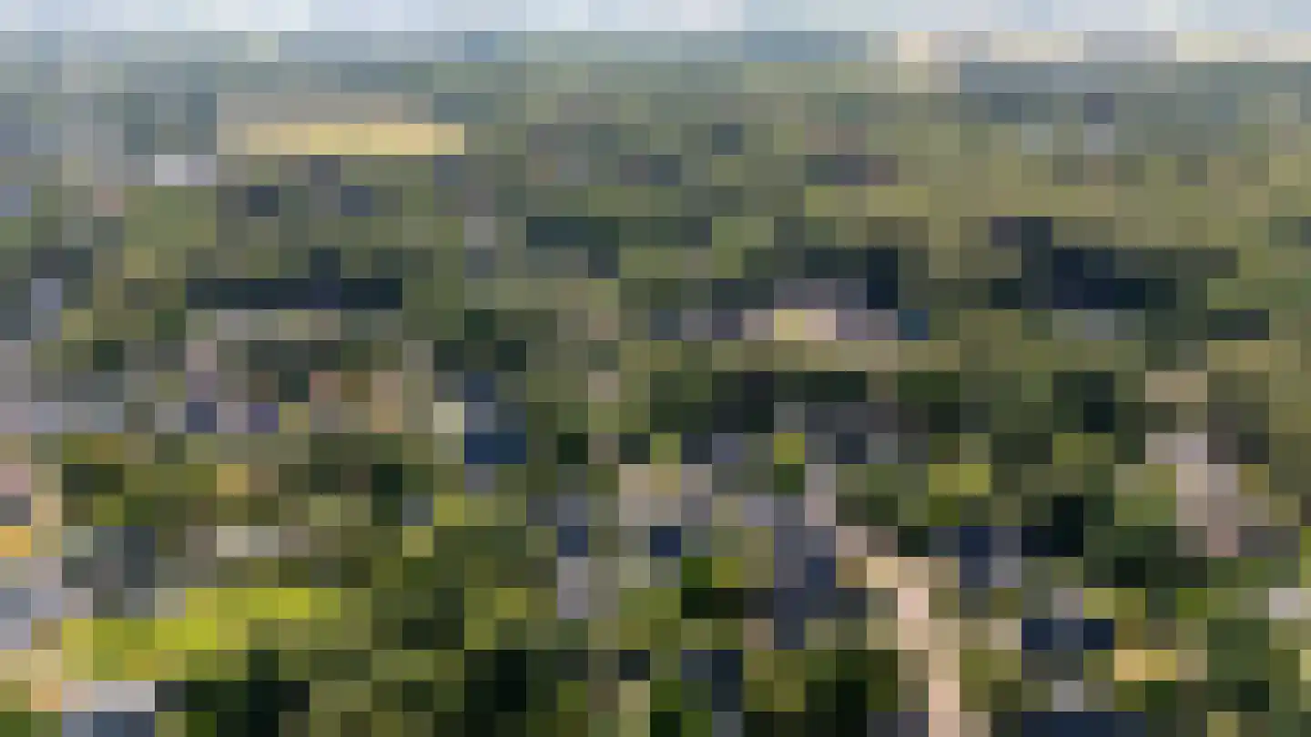 Egelantierlaan 4 Oostvoorne thumbnail 56