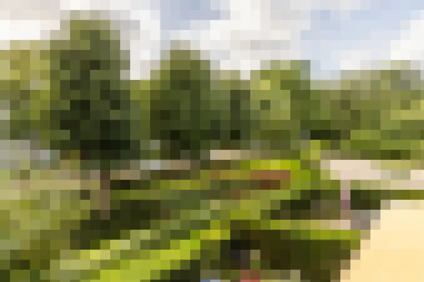 Egelantierlaan 41 Haarlem thumbnail 29