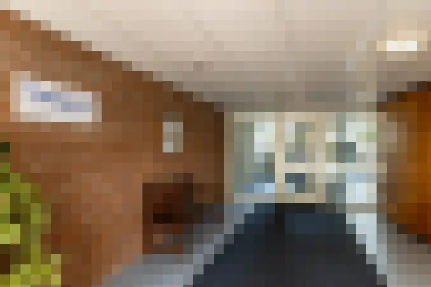 Egelantierlaan 41 Haarlem thumbnail 43