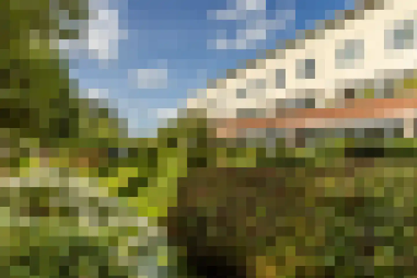 Egelantierlaan 41 Haarlem thumbnail 47