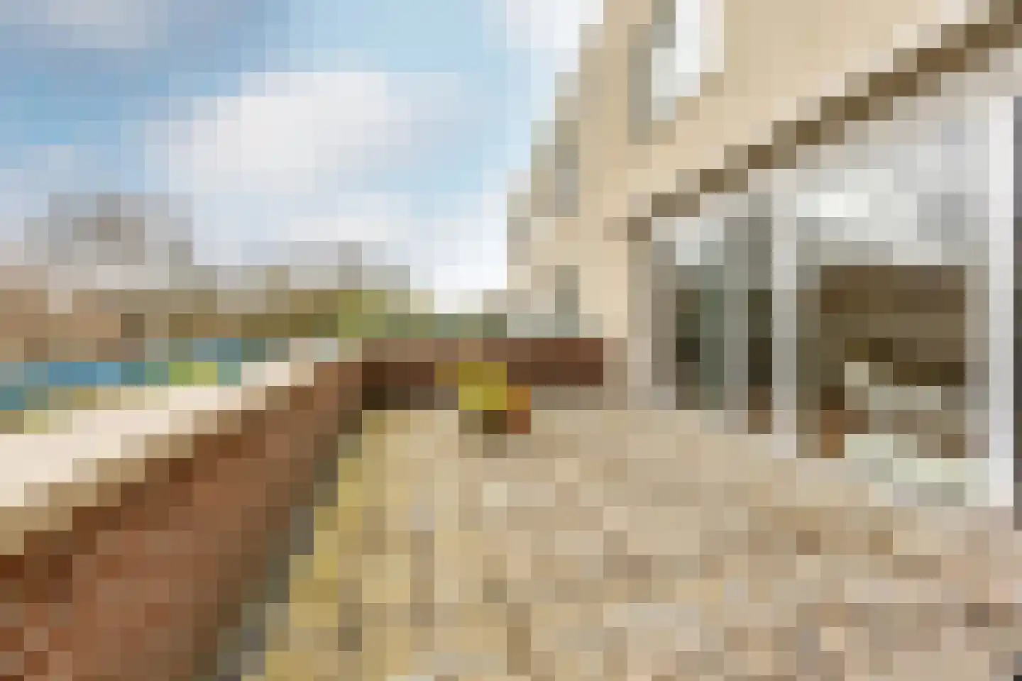 Egelantierlaan 45 Haarlem thumbnail 4