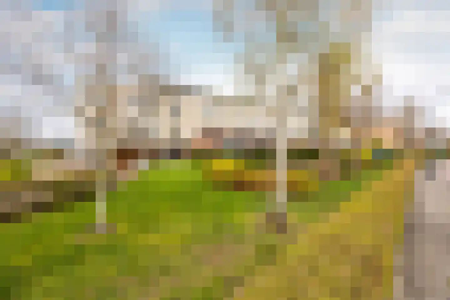 Egelantierlaan 45 Haarlem thumbnail 6