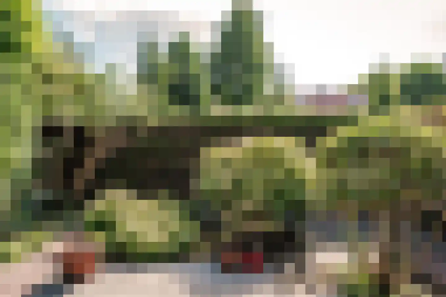 Egelantierlaan 5 Haarlem thumbnail 18
