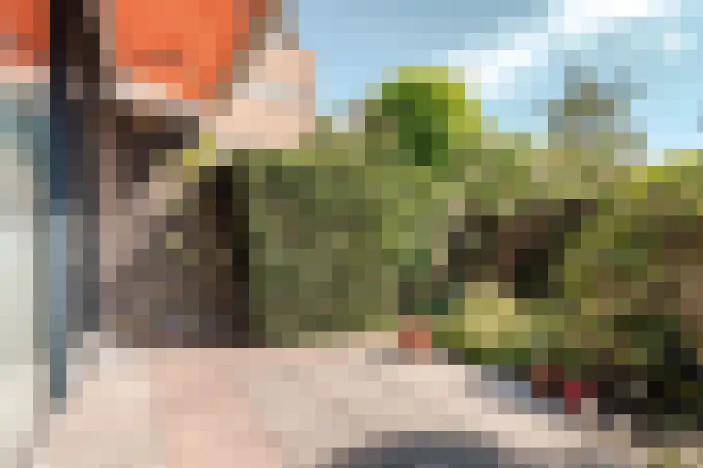 Egelantierlaan 5 Haarlem thumbnail 19