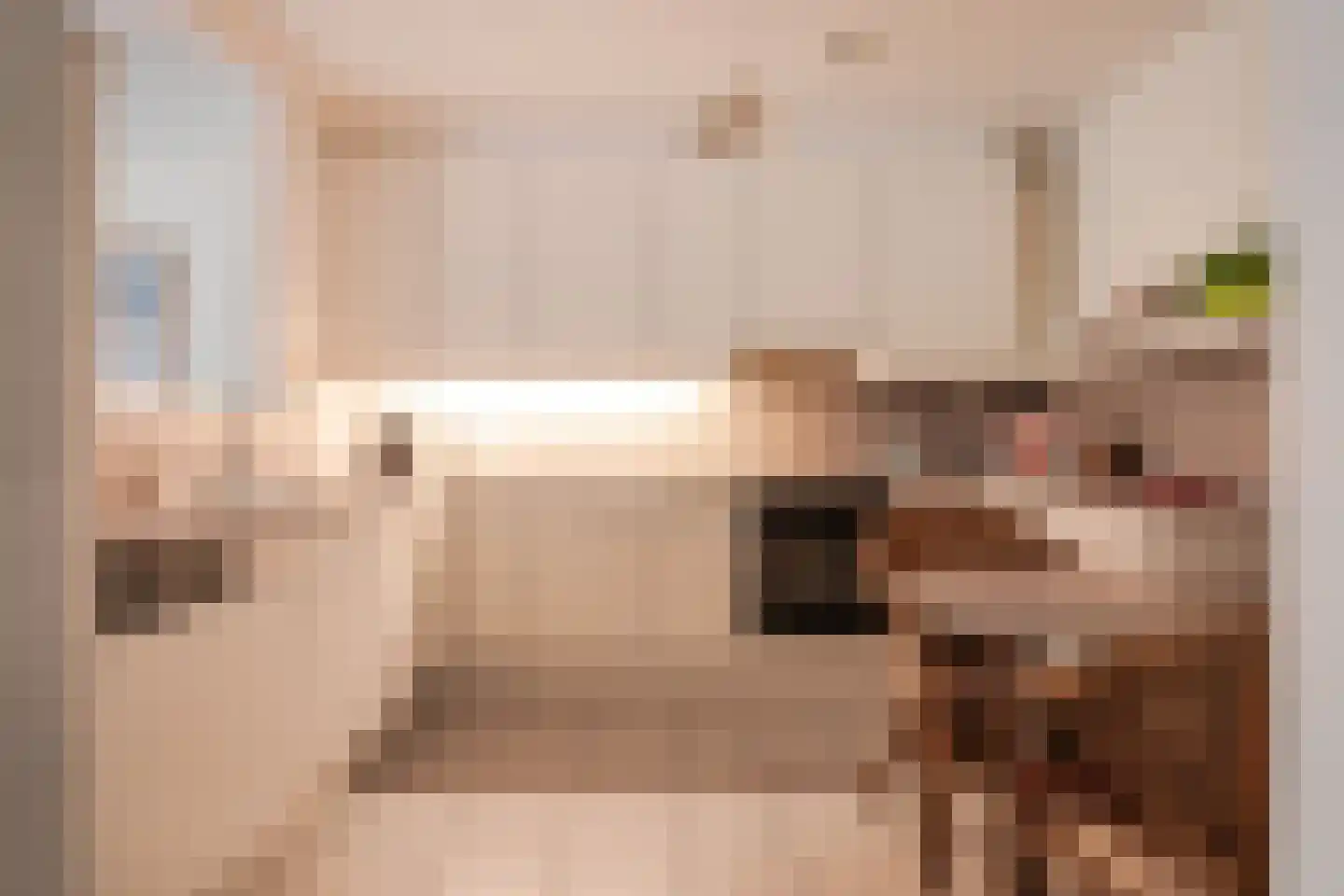 Egelantierlaan 5 Haarlem thumbnail 24