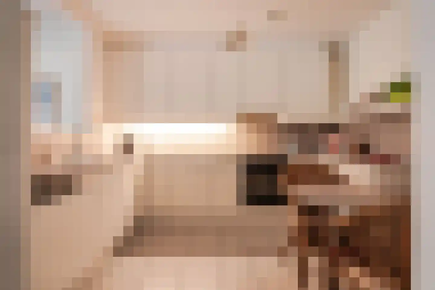 Egelantierlaan 5 Haarlem thumbnail 5