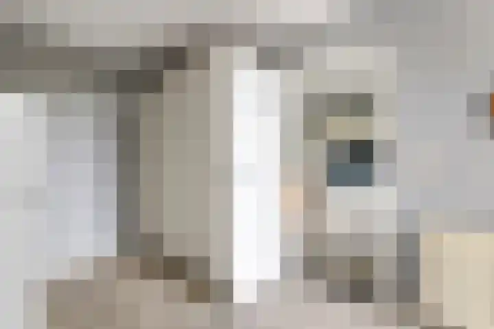 Egelantierpad 21 Sleeuwijk thumbnail 21