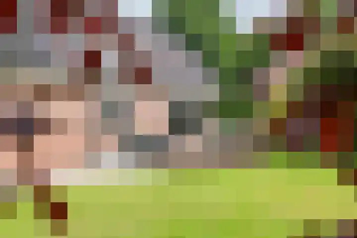 Egelantierpad 21 Sleeuwijk thumbnail 25