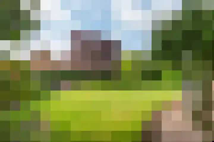 Egelantierpad 21 Sleeuwijk thumbnail 28