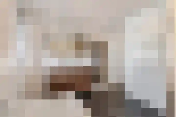 Egelantierpad 21 Sleeuwijk thumbnail 37
