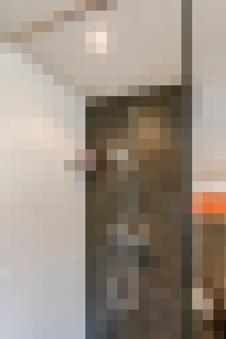 Egelantierpad 21 Sleeuwijk thumbnail 38