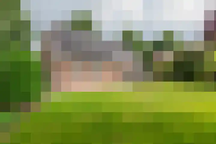 Egelantierpad 21 Sleeuwijk thumbnail 45