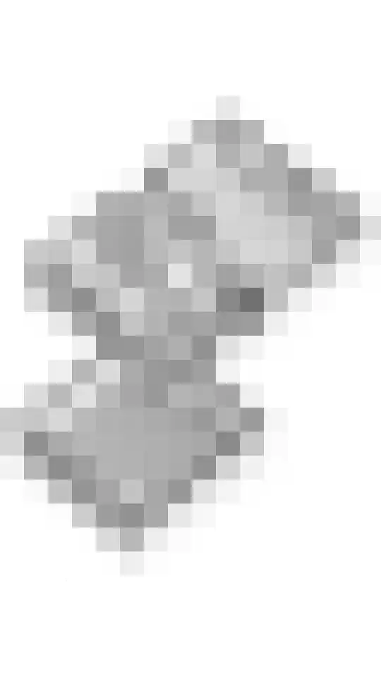 Egelantierpad 21 Sleeuwijk thumbnail 57