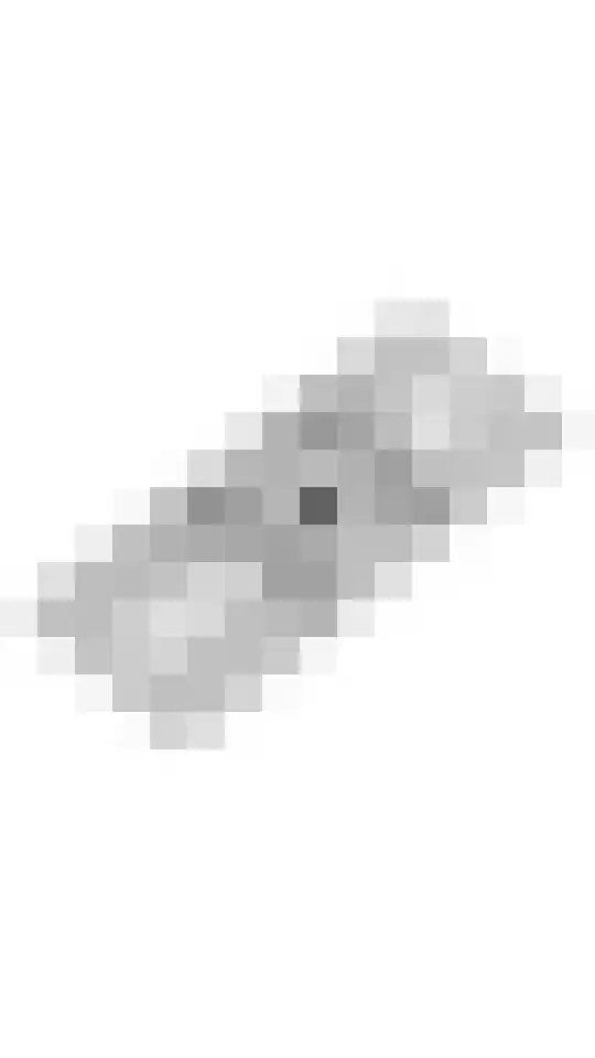 Egelantierpad 21 Sleeuwijk thumbnail 61