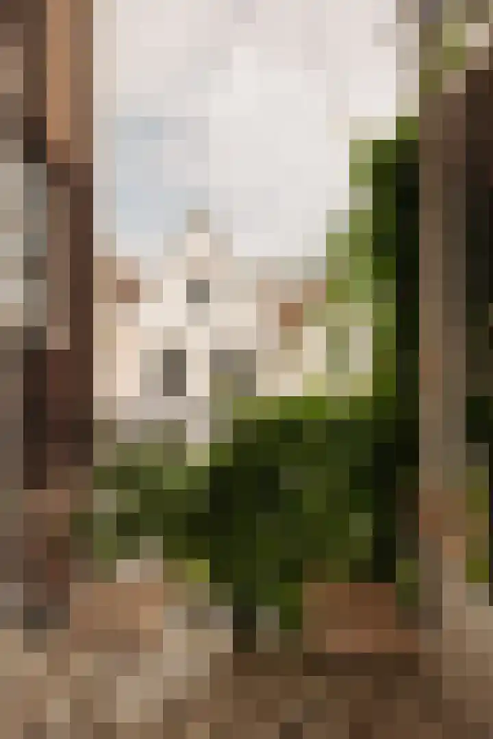 Egelantiersgracht 28 1 Amsterdam thumbnail 25