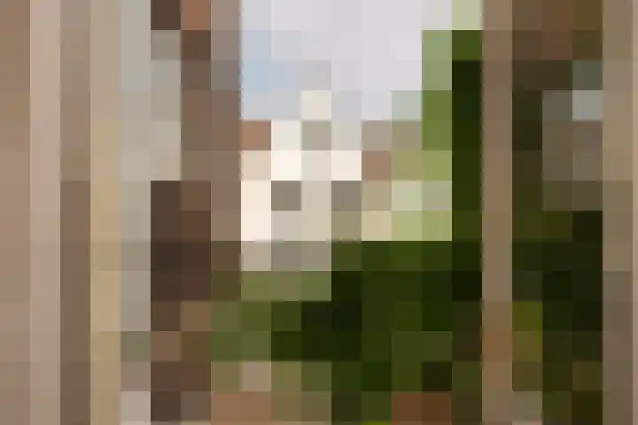 Egelantiersgracht 28 1 Amsterdam thumbnail 4