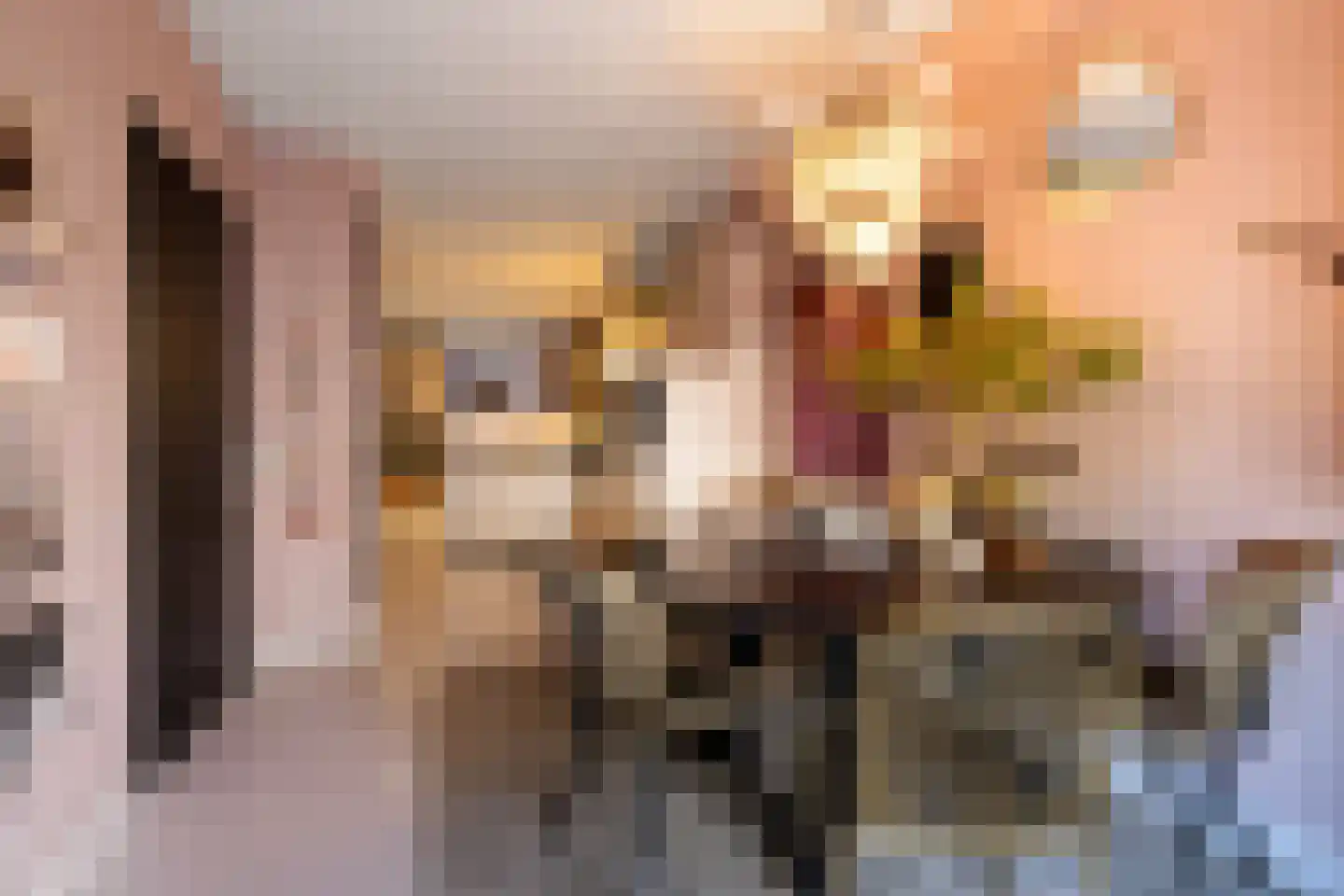 Egelantiersgracht 29 H Amsterdam thumbnail 16