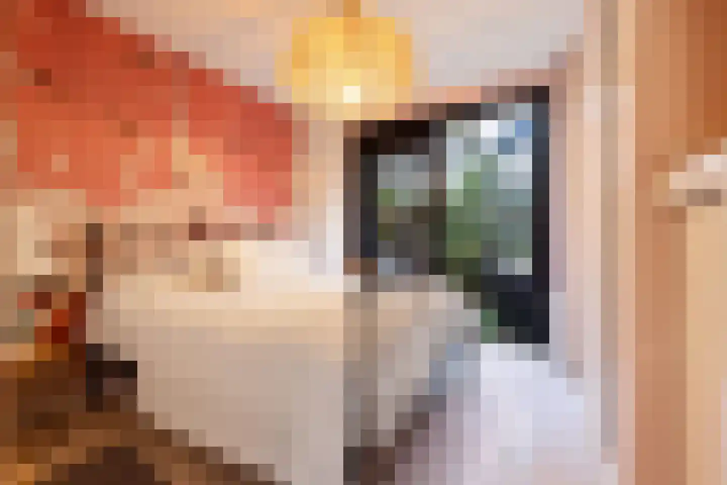 Egelantiersgracht 29 H Amsterdam thumbnail 23