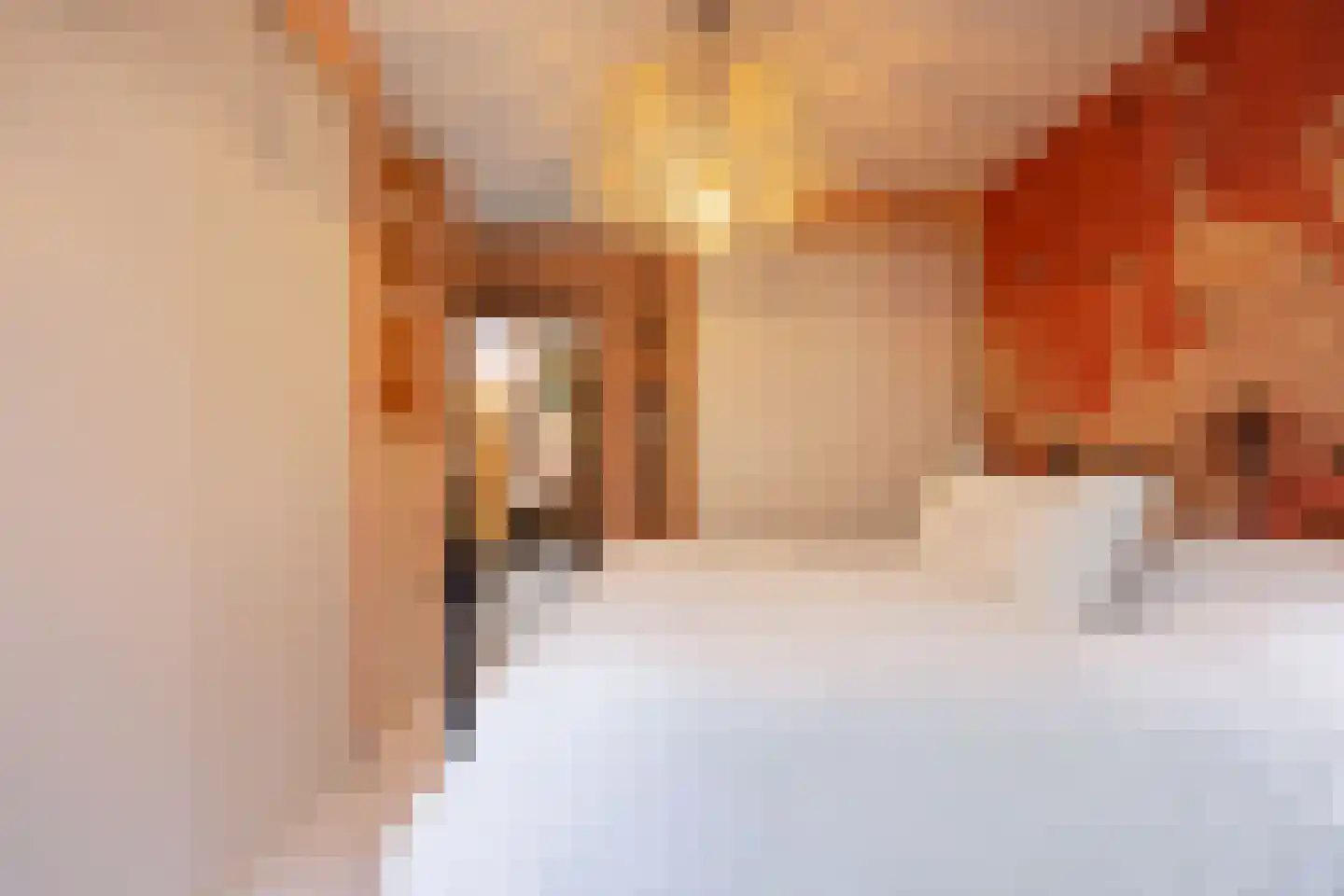 Egelantiersgracht 29 H Amsterdam thumbnail 25