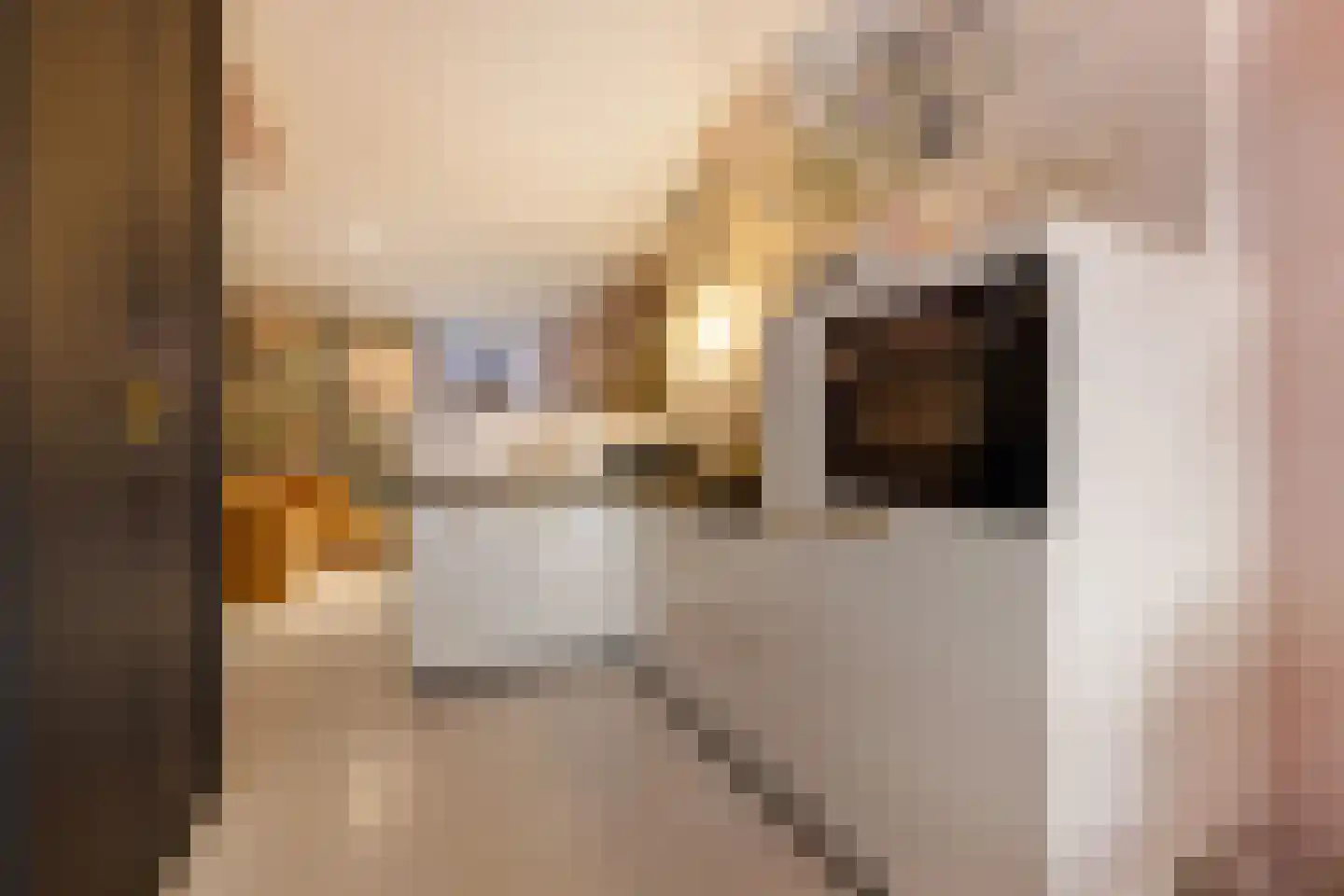 Egelantiersgracht 29 H Amsterdam thumbnail 9