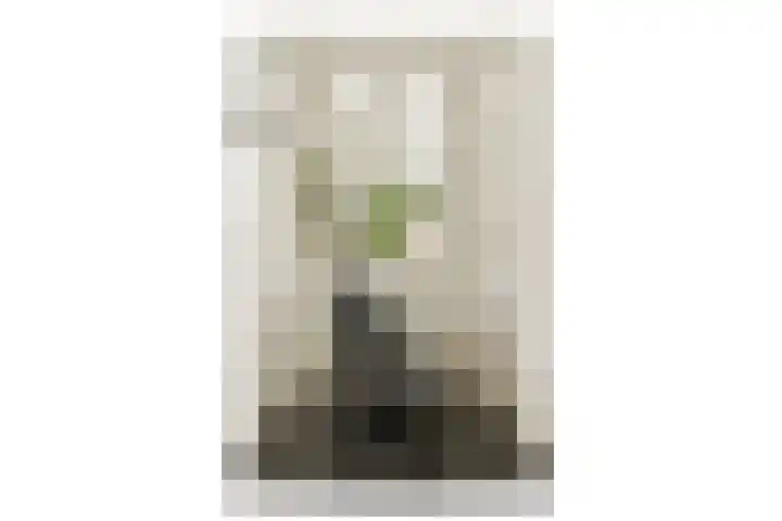 Egelantiersgracht 31 3 Amsterdam thumbnail 10