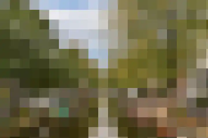 Egelantiersgracht 31 3 Amsterdam thumbnail 27