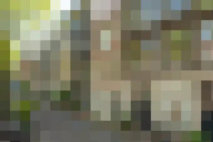 Egelantiersgracht 33 B Amsterdam thumbnail 14