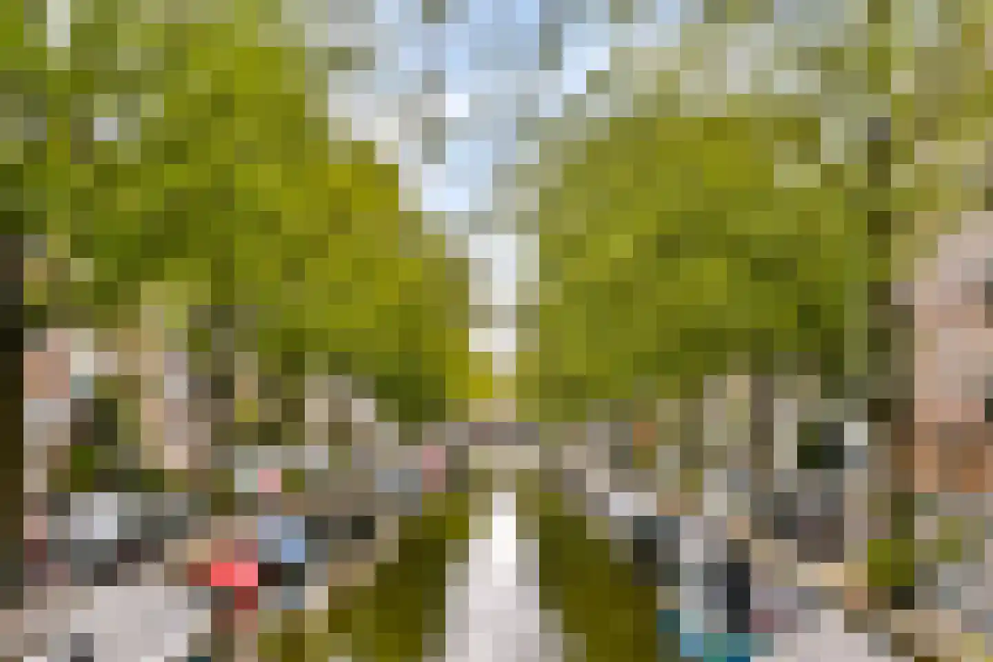 Egelantiersgracht 348 B Amsterdam thumbnail 19