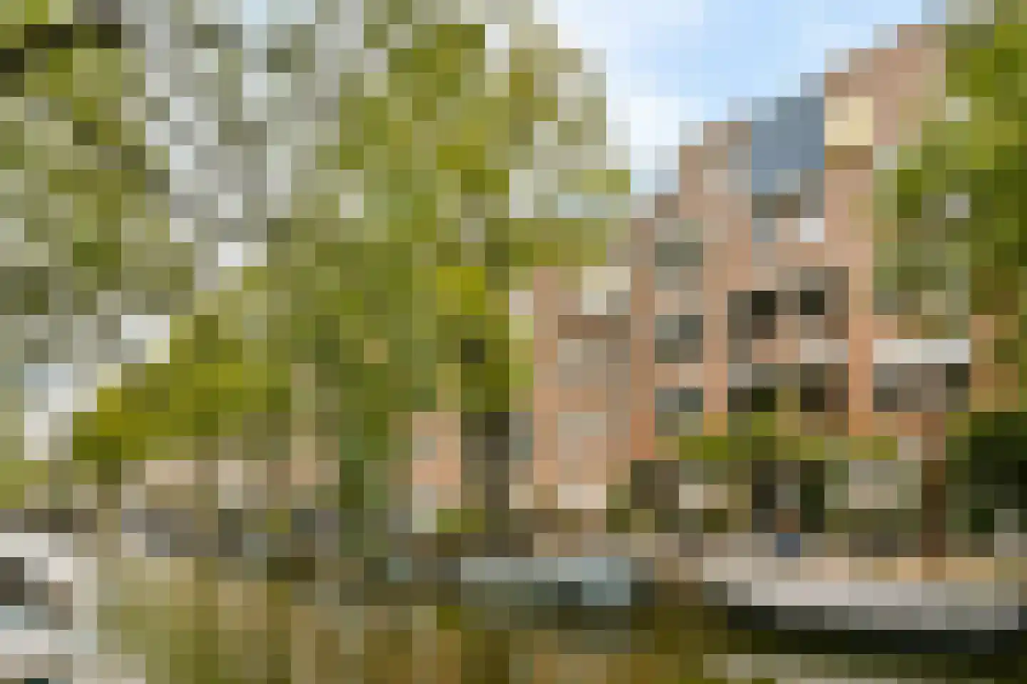 Egelantiersgracht 348 B Amsterdam thumbnail 22