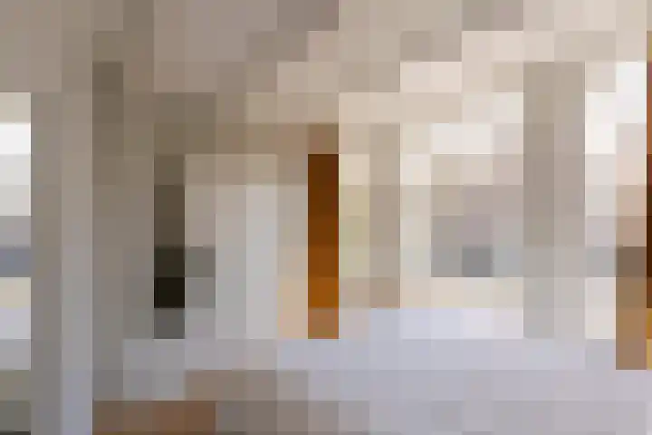 Egelantiersgracht 442 Amsterdam thumbnail 25