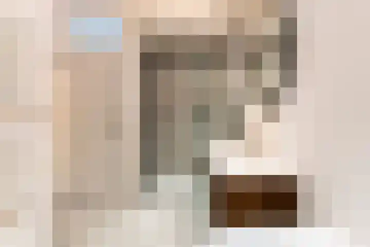 Egelantiersgracht 442 Amsterdam thumbnail 33