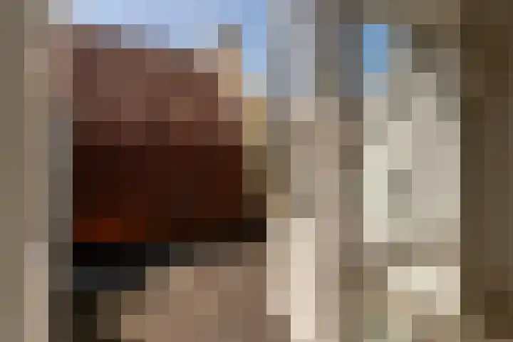 Egelantiersgracht 442 Amsterdam thumbnail 40