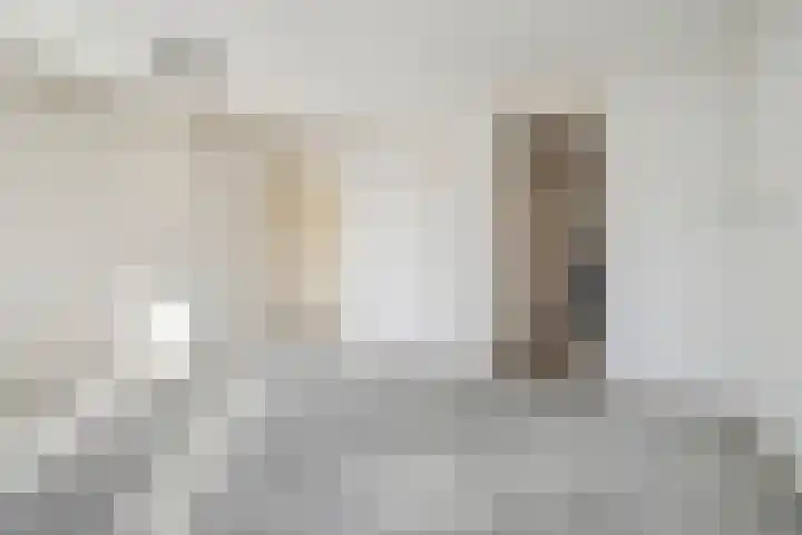 Egelantiersgracht 458 Amsterdam thumbnail 12