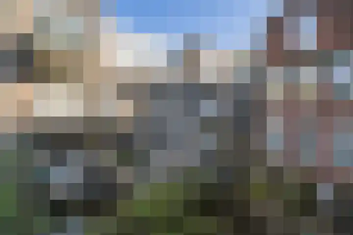 Egelantiersgracht 458 Amsterdam thumbnail 19