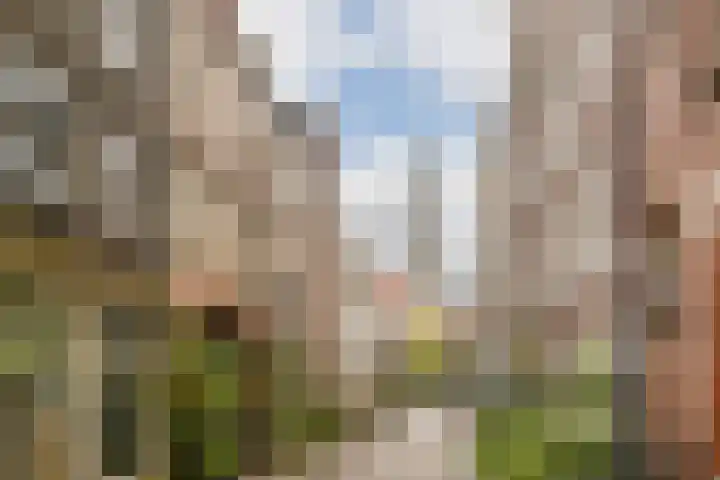 Egelantiersgracht 55 1 Amsterdam thumbnail 26