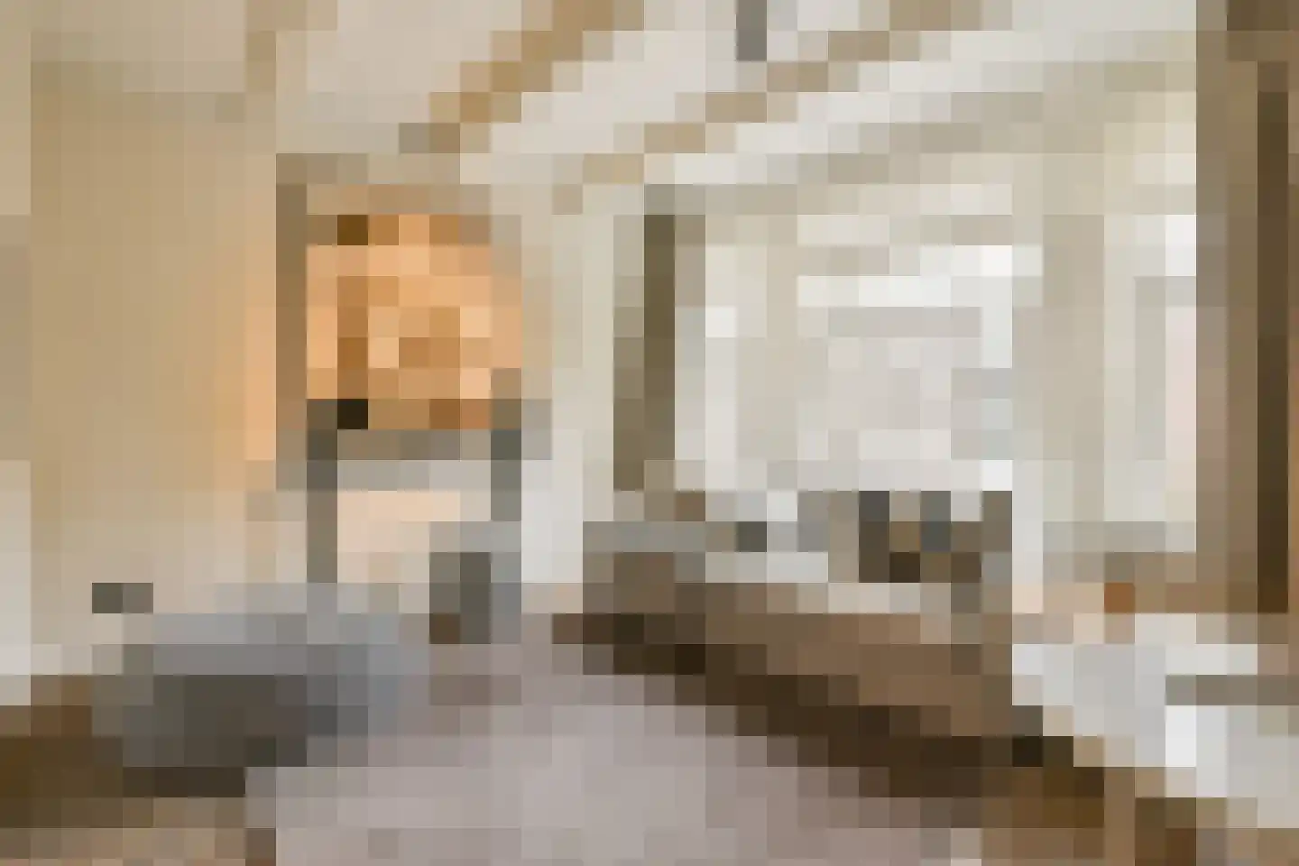 Egelantiersgracht 55 O in Amsterdam