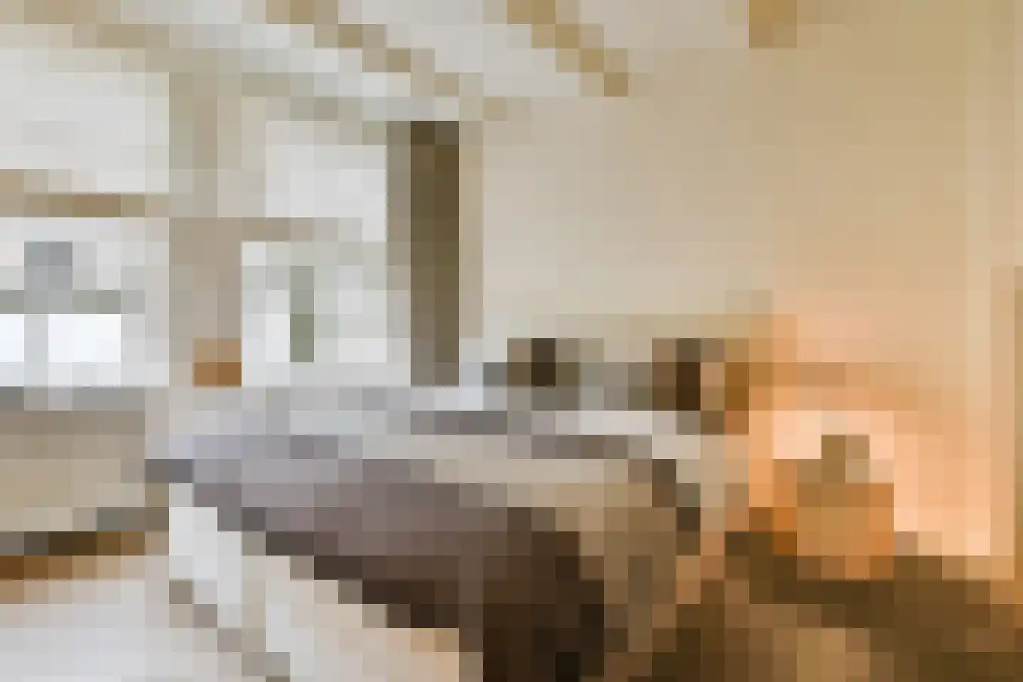 Egelantiersgracht 55 O Amsterdam thumbnail 12