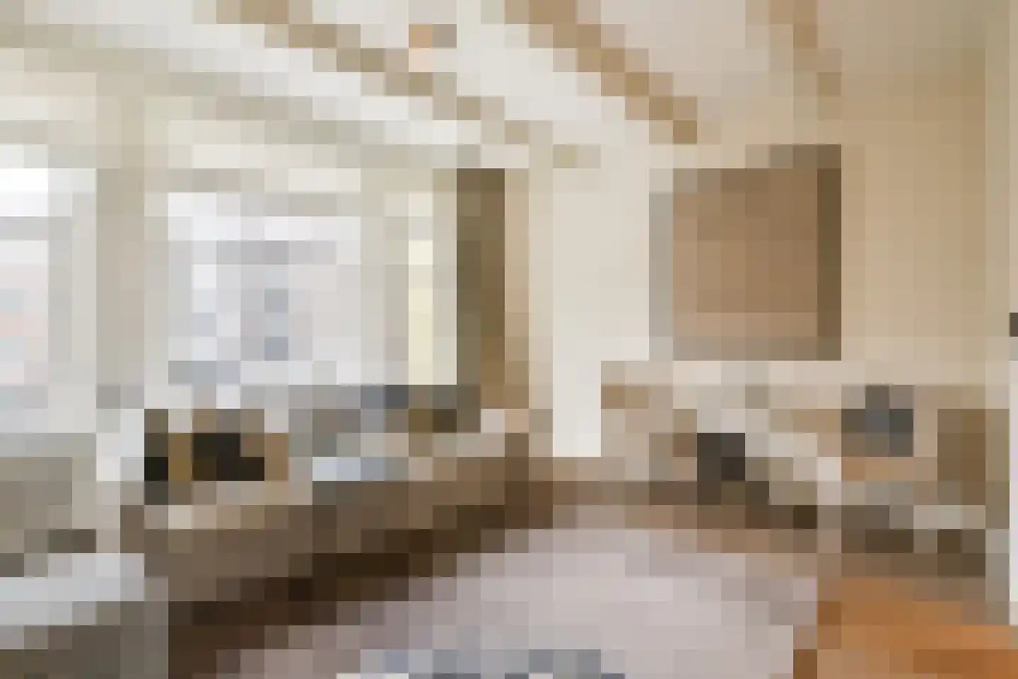 Egelantiersgracht 55 O Amsterdam thumbnail 4