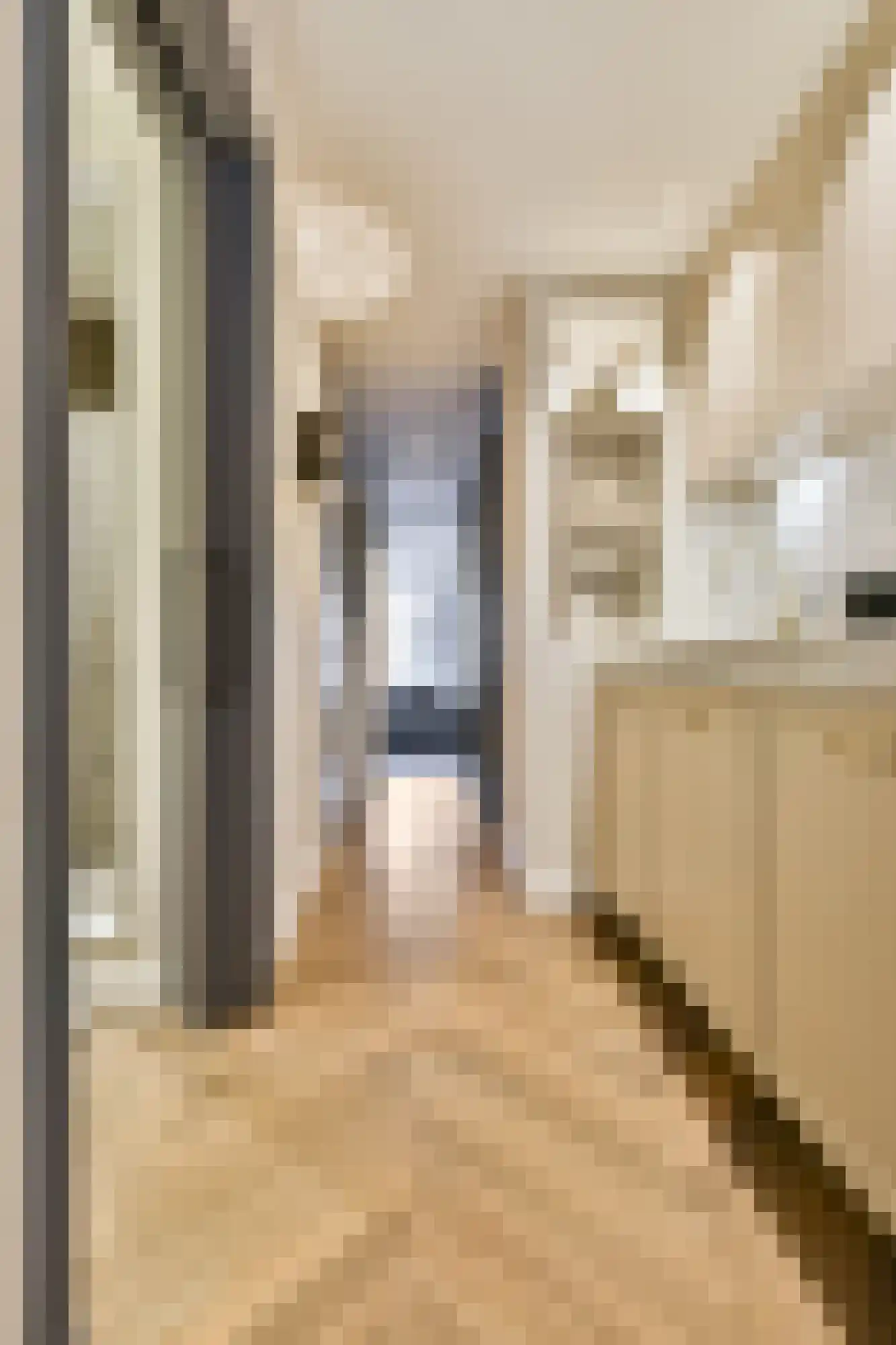 Egelantiersgracht 55 O Amsterdam thumbnail 8