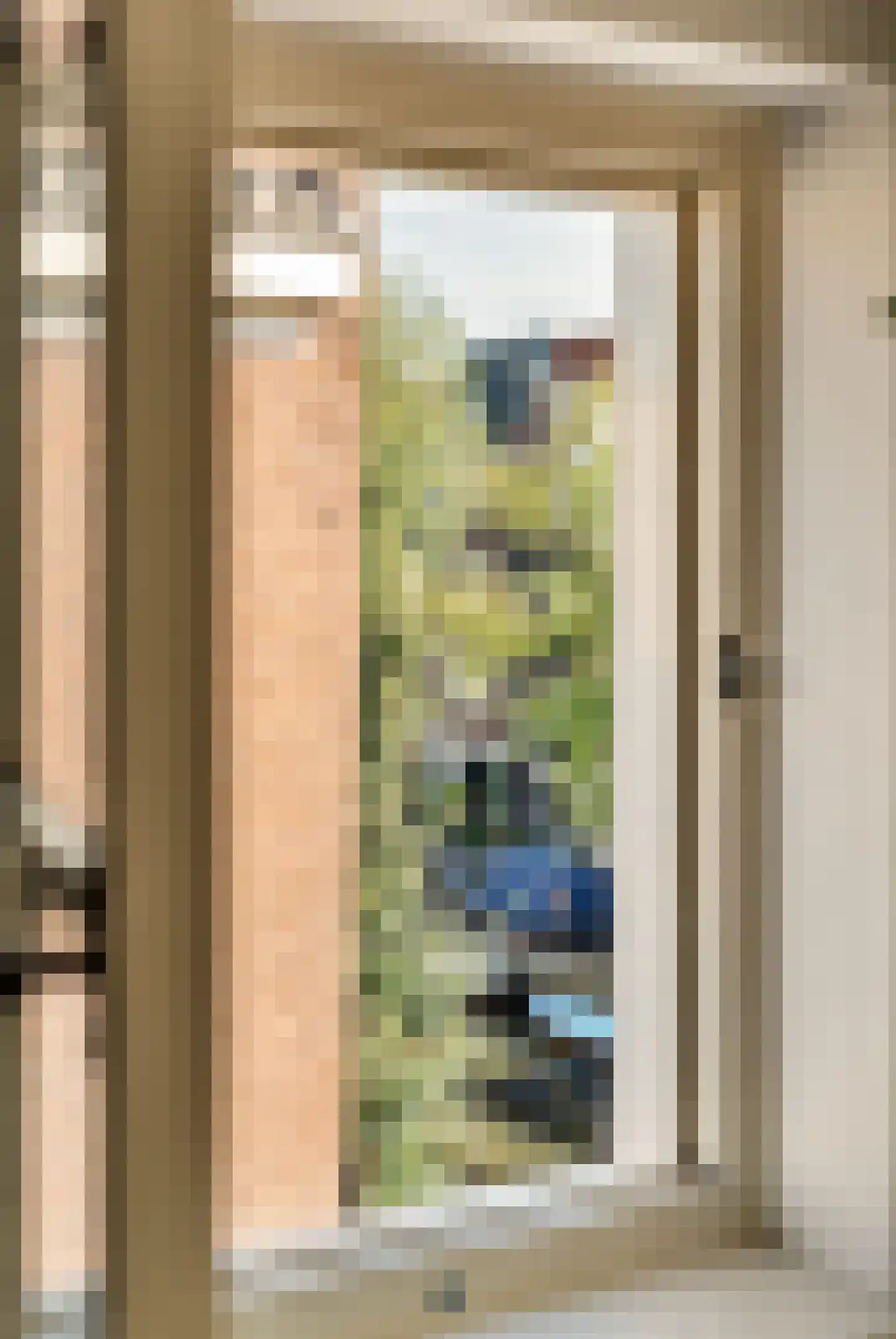 Egelantiersgracht 72 C Amsterdam thumbnail 20