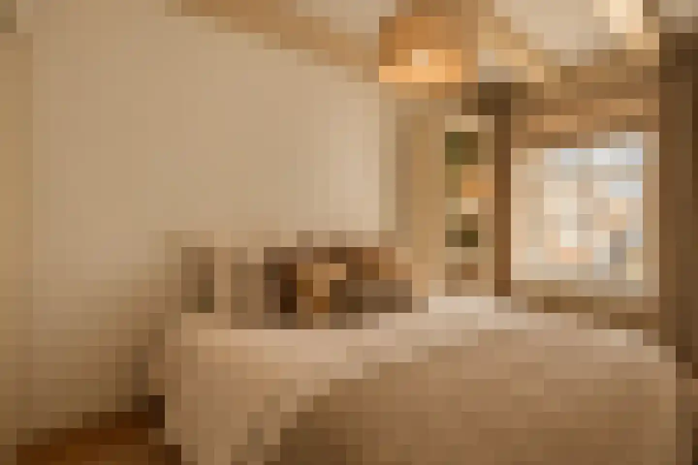 Egelantiersgracht 72 C Amsterdam thumbnail 23