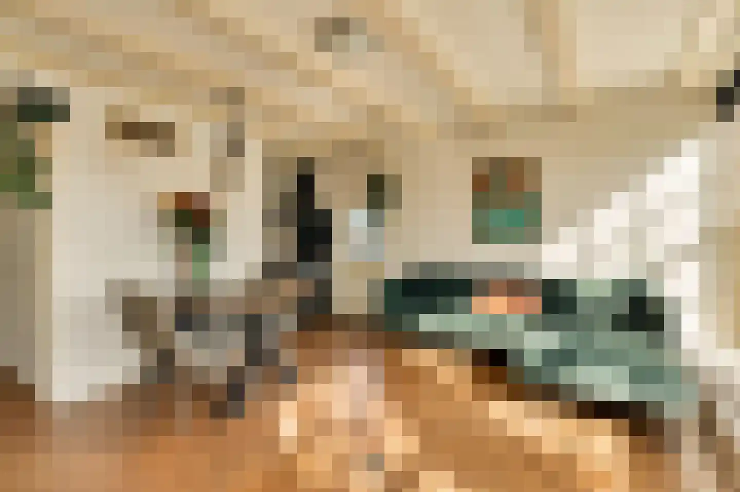 Egelantiersgracht 72 C Amsterdam thumbnail 5