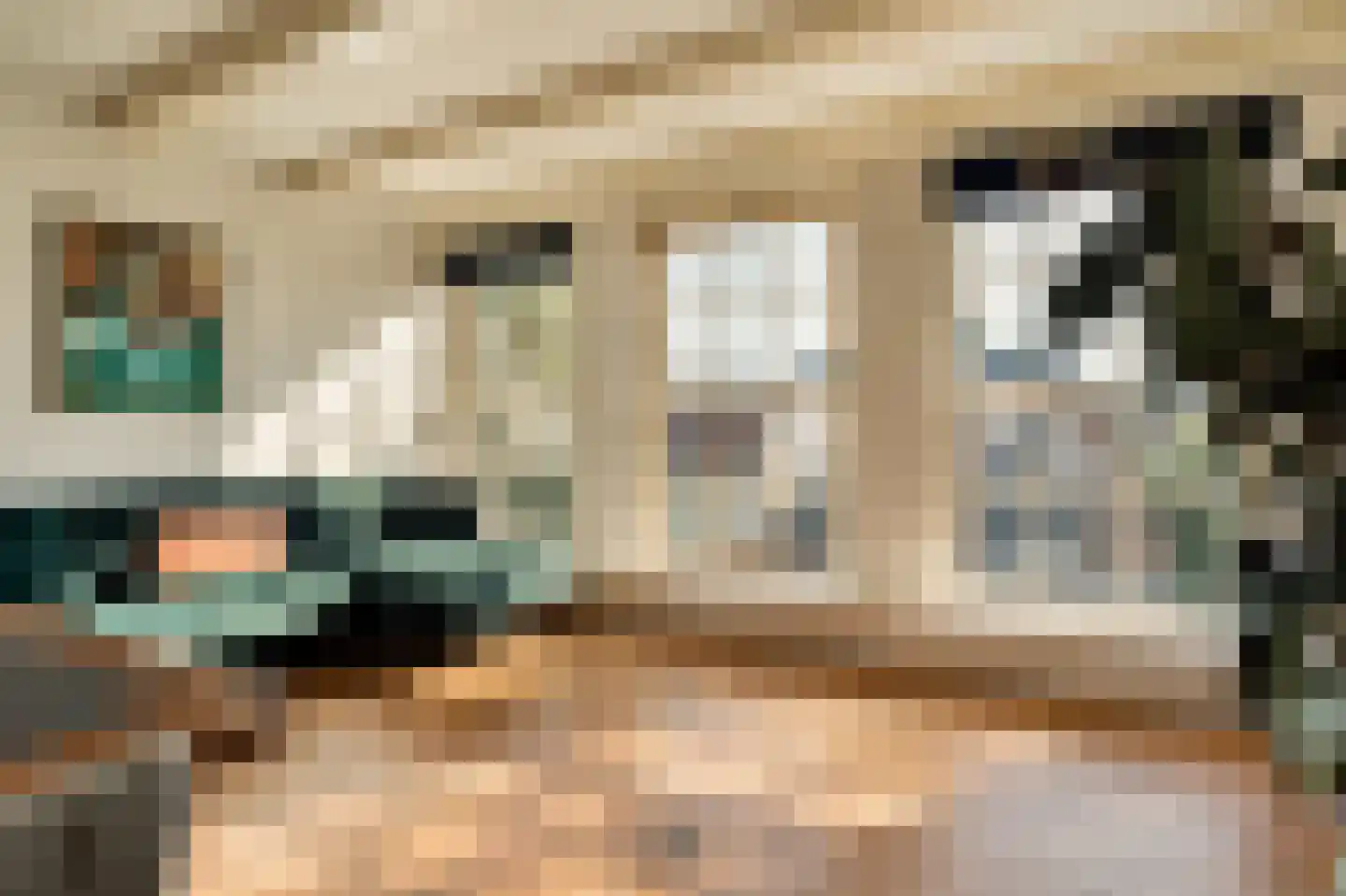 Egelantiersgracht 72 C Amsterdam thumbnail 6