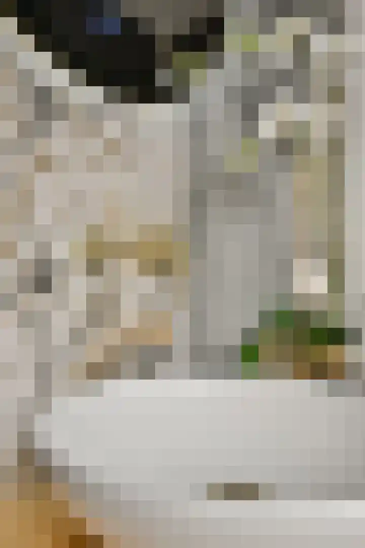 Egelantiersgracht 81 2 Amsterdam thumbnail 15