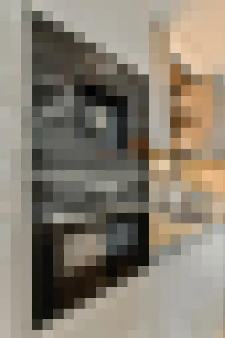 Egelantiersgracht 81 2 Amsterdam thumbnail 30