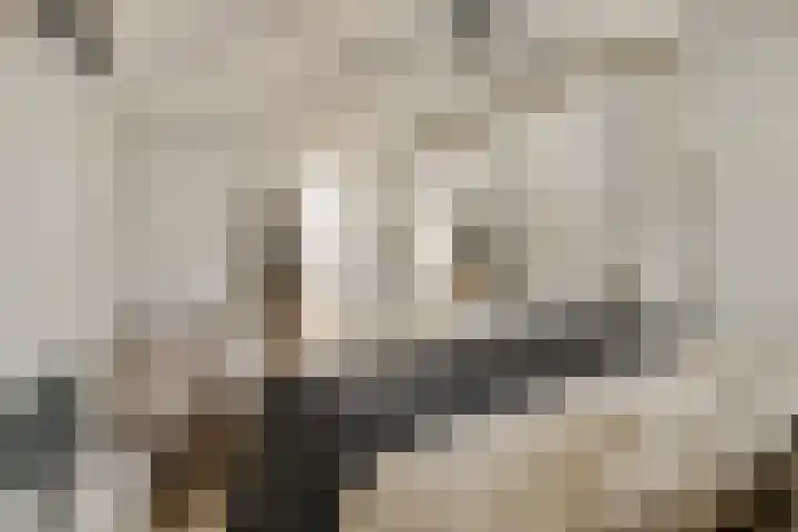 Egelantiersgracht 81 2 Amsterdam thumbnail 40